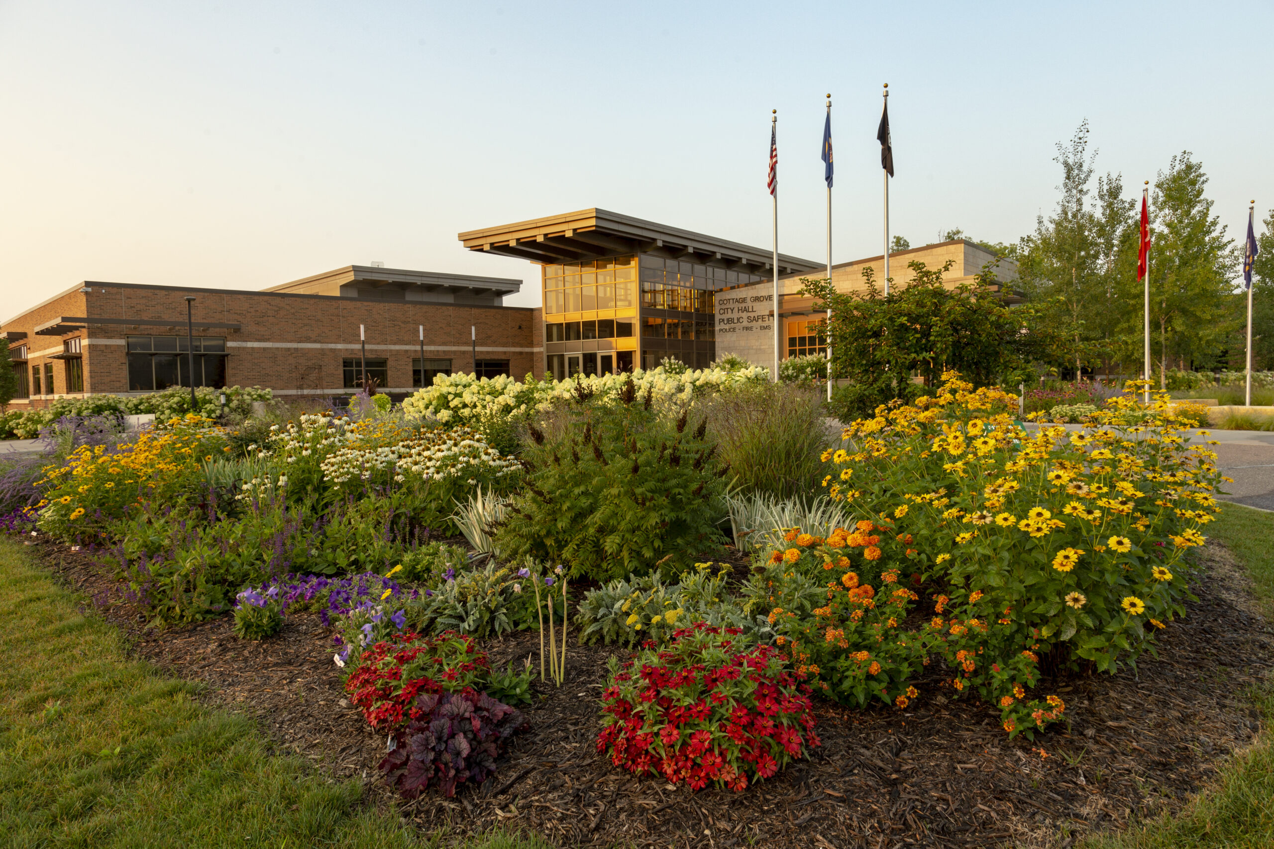 Cottage Grove S Cash Incentive Referral Program League Of Minnesota   Cottage Grove City Hall Scaled 